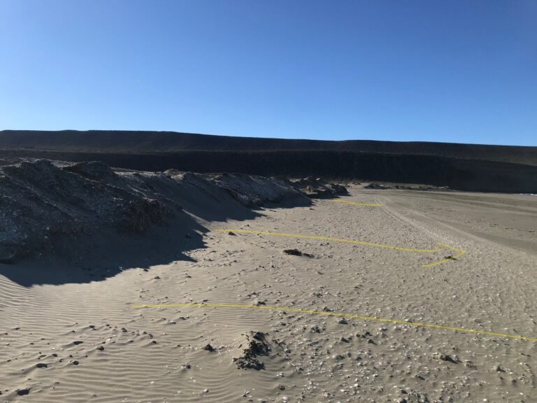 Desarrollos urbanísticos post pandemia: en clave sustentable