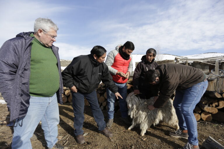 Provincia realiza otra entrega de leña a productores de Cushamen afectados por el temporal