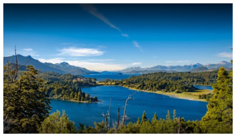 Logran captar un mamífero en peligro de extinción en el Parque Nahuel Huapi