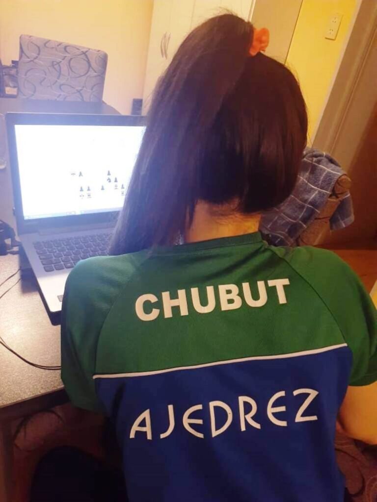 El Ministerio de Educación organiza un torneo online de ajedrez por equipos