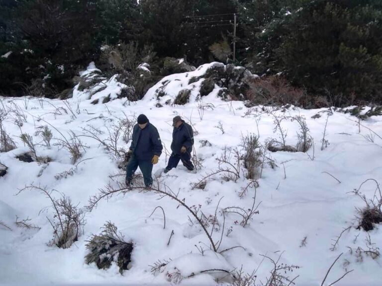 Emergencia Agropecuaria: evalúan las declaraciones juradas para otorgar los fondos