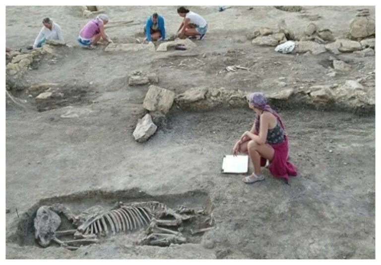 Hallan una necrópolis bizantina con 27 tumbas y esqueletos de más de mil años