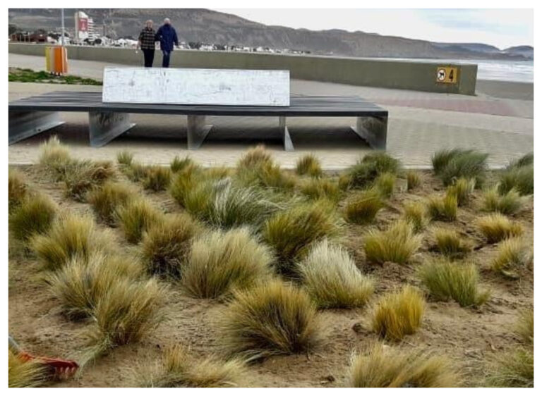 El domingo se labró una sola infracción: fue a dos personas que caminaban por la costa