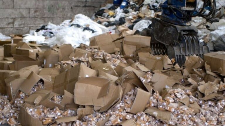Destruyeron 40.000 peluches «peligrosos»