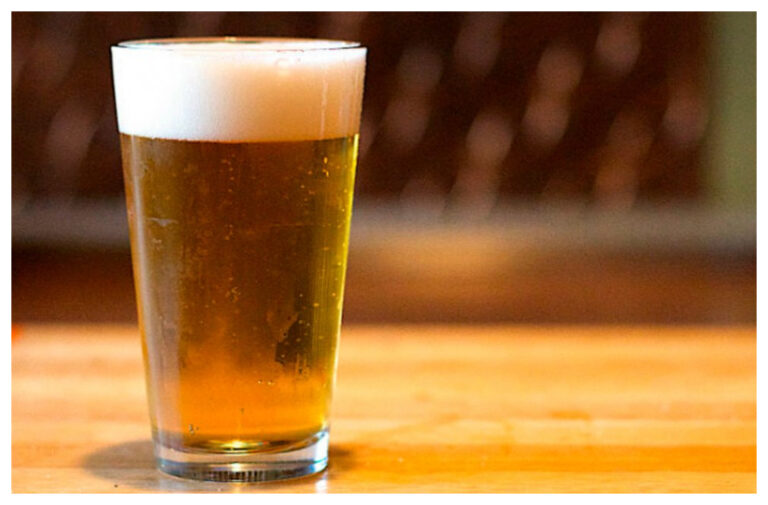 Más de 100 productores cerveceros de Chubut se capacitaron sobre Ciencia y Cerveza