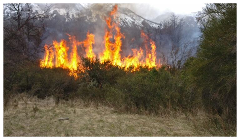 El incendio en Cholila se originó por una quema de desechos