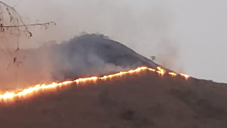 Salta es la provincia más afectada por los incendios forestales con siete «focos activos»