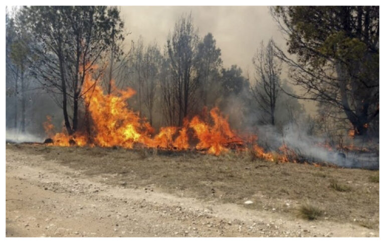 Pese a las lluvias, hay algunos focos activos que persisten en Córdoba