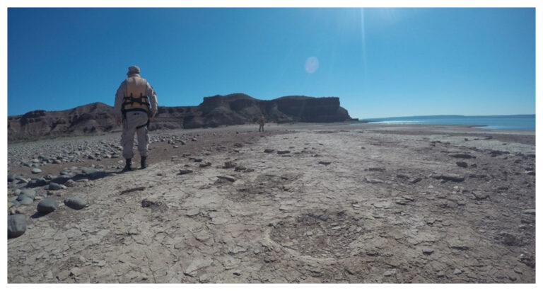Hallazgo en la Patagonia: Prefectura halló huellas de dinosaurio