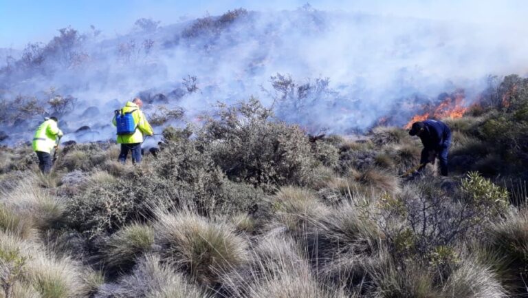 Sofocaron incendio en un campo de Comodoro Rivadavia