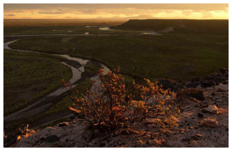 Las fotos ganadoras de «Tesoros por Descubrir» de la Patagonia