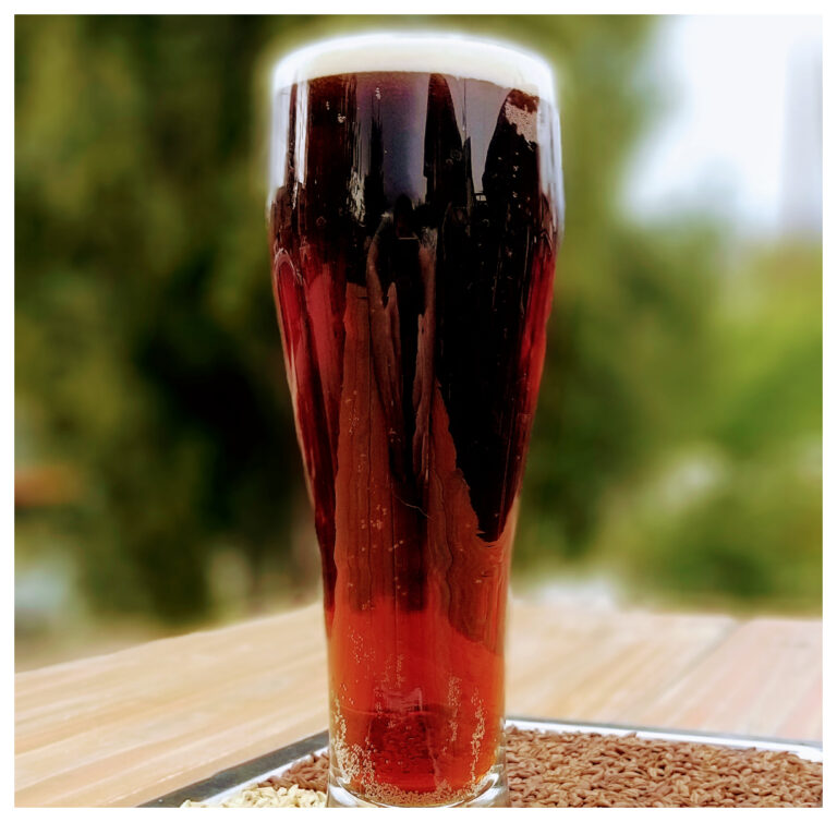 En Esquel, la cerveza negra con frambruesa transmite aromas y sabores patagónicos
