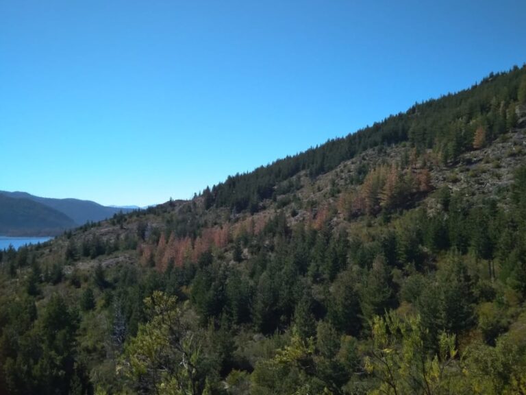 Se pone en marcha una nueva etapa del Programa de manejo y conservación de la reserva Epuyén