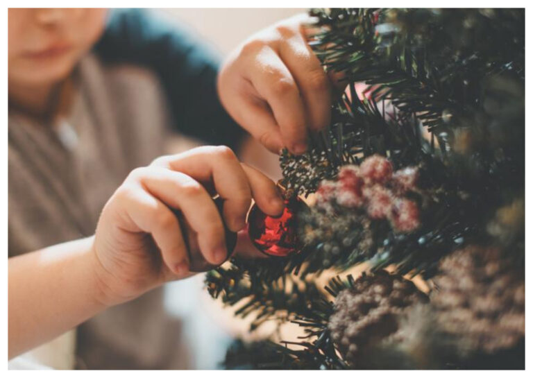 8 de Diciembre : ¿ Por qué se arma hoy el arbolito de Navidad?