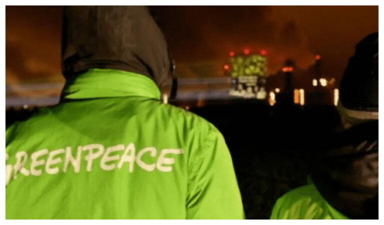 Greenpeace calificó de «insuficientes» las medidas anunciadas por el gobierno