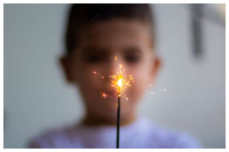 «Esta ordenanza no dice en ningún lado que sea de luz y color , y sin estruendo»