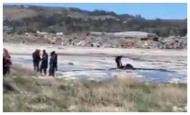 Bomberos debieron rescatar a un hombre que se hundió en un salitral