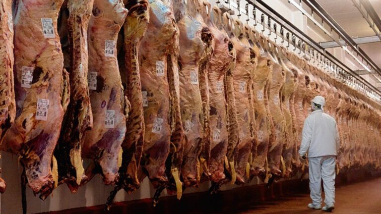 Extienden hasta octubre las restricciones para exportar carne