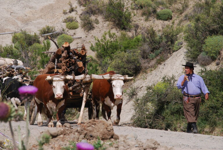 Alto Río Percy: una perla del turismo rural, a pocos minutos de Esquel