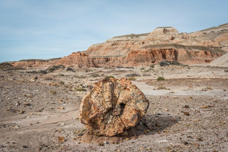 Un día histórico: Rocas Coloradas ya es Área Natural Protegida