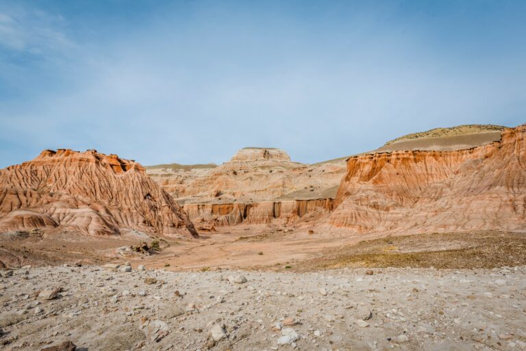 «Se alinearon todos los planetas y se entendió el impacto y riqueza de esa área»