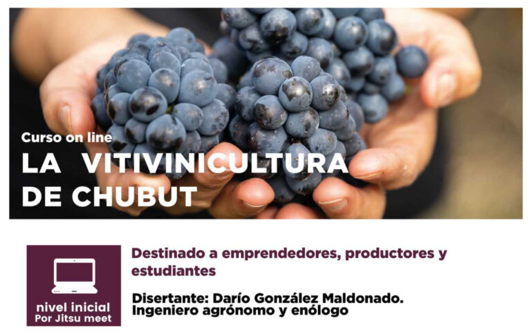 Invitan a curso online de vitivinicultura a cargo de Darío González Maldonado