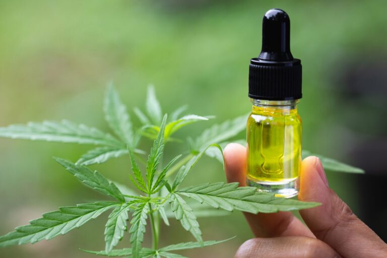 Jujuy: Inaugurarán el primer laboratorio de cannabis medicinal del país