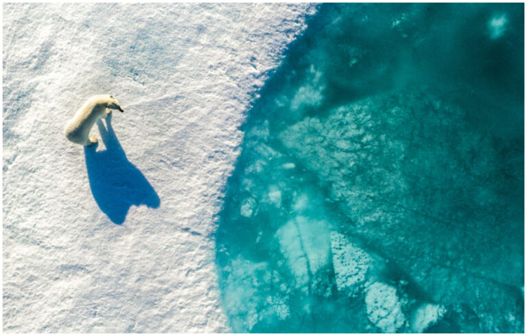 El Ministerio de Ambiente creó el Programa Provincial de Cambio Climático
