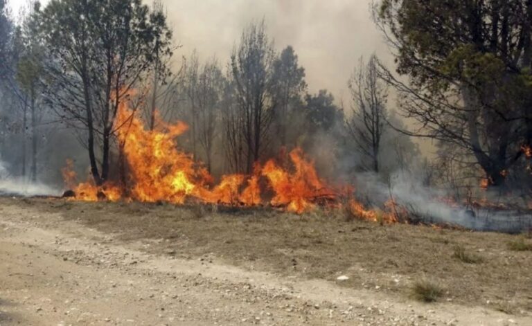 Incendios forestales: Jujuy y Neuquén continúan afectadas