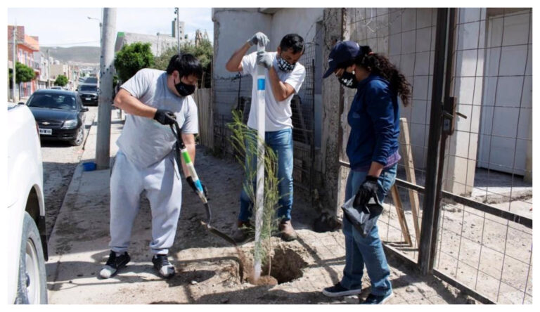 Con gran éxito el Municipio de Comodoro concretó la última jornada de plantación del año