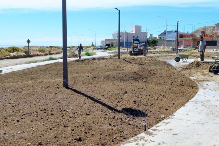 Se avanza en la forestación del barrio Tierra Joven