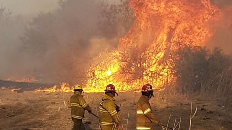 Cinco provincias mantienen focos activos de incendios forestales