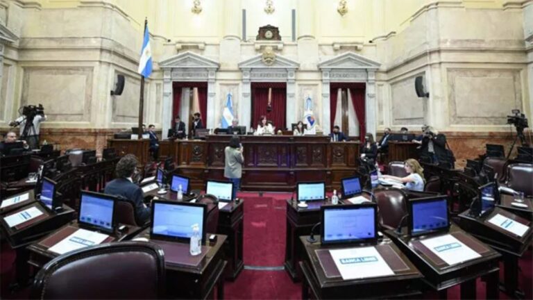 Ley Interrupción Voluntaria del Embarazo: la votación sería a las 4 de la mañana