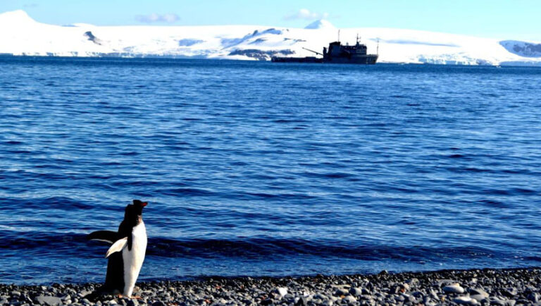 «Conocer la Antártida es un orgullo»