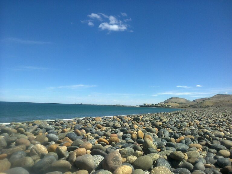 Hallazgo: Encuentran un cráneo con piel y dientes en la playa de Comodoro