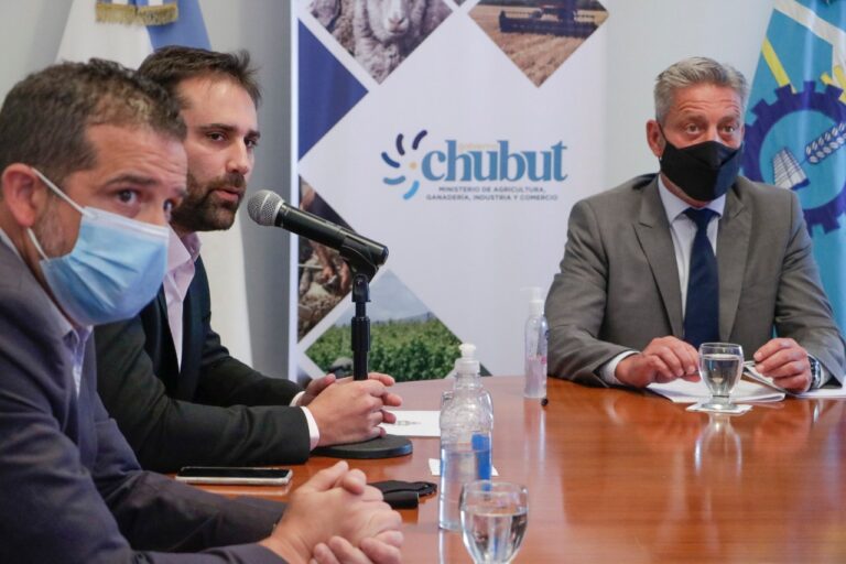 El Gobierno de la Provincia presentó la aplicación «Chubut Sin TACC»