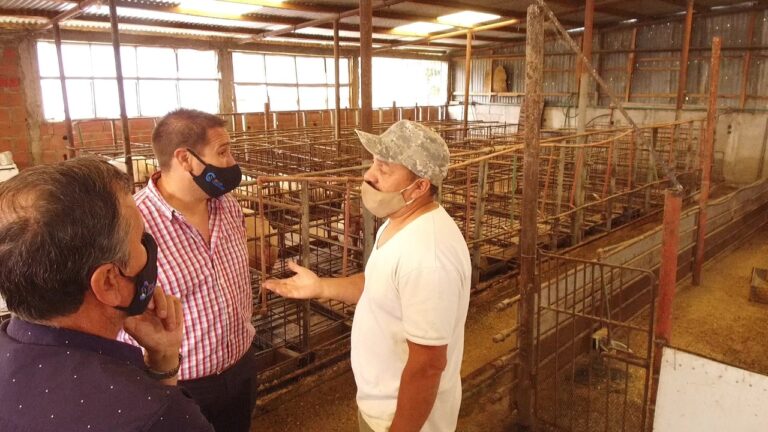 Comodoro: promueven la producción de cerdo