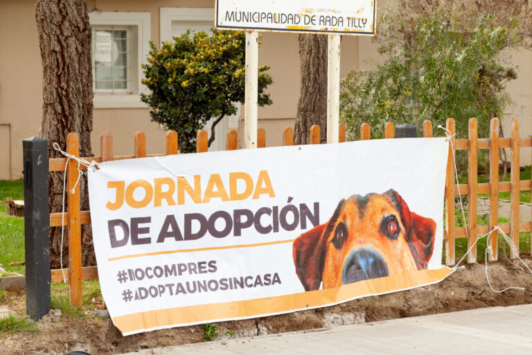 Rada Tilly: Habrá una jornada de adopción de mascotas