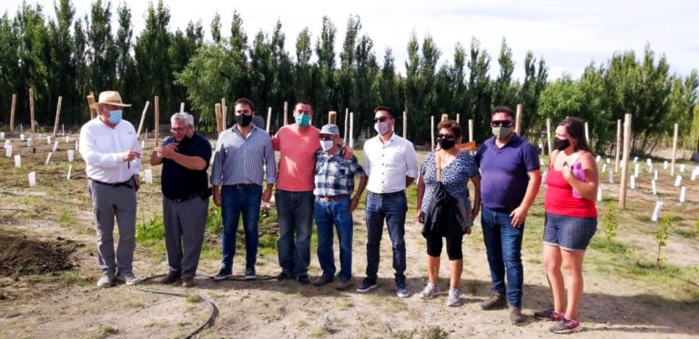 Chubut apuesta al desarrollo de la industria vitivinícola en Comodoro