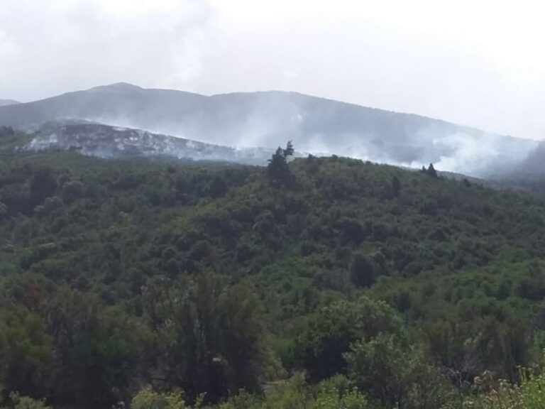 Bosques amplía el operativo de control del incendio en Cuesta del Ternero