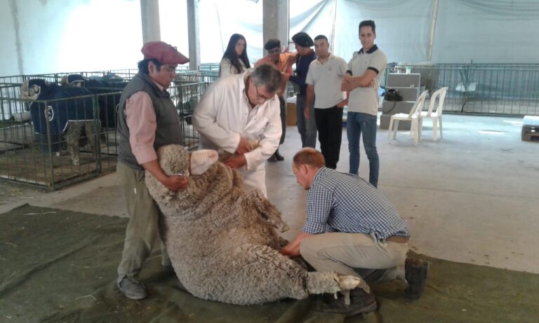 Este sábado se realizará la 83° Expo Ganadera y Afines de Comodoro