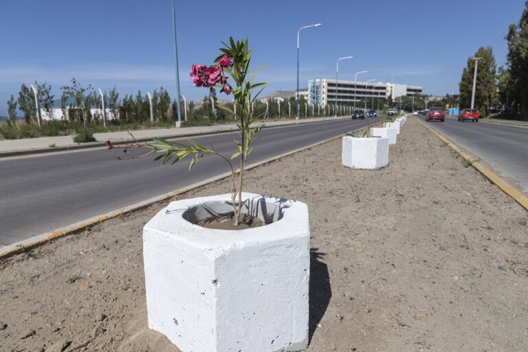 Continúa el embellecimiento de la ciudad de Comodoro