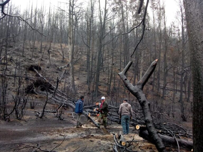 Chubut: continúan trabajando en terreno con los damnificados por los incendios
