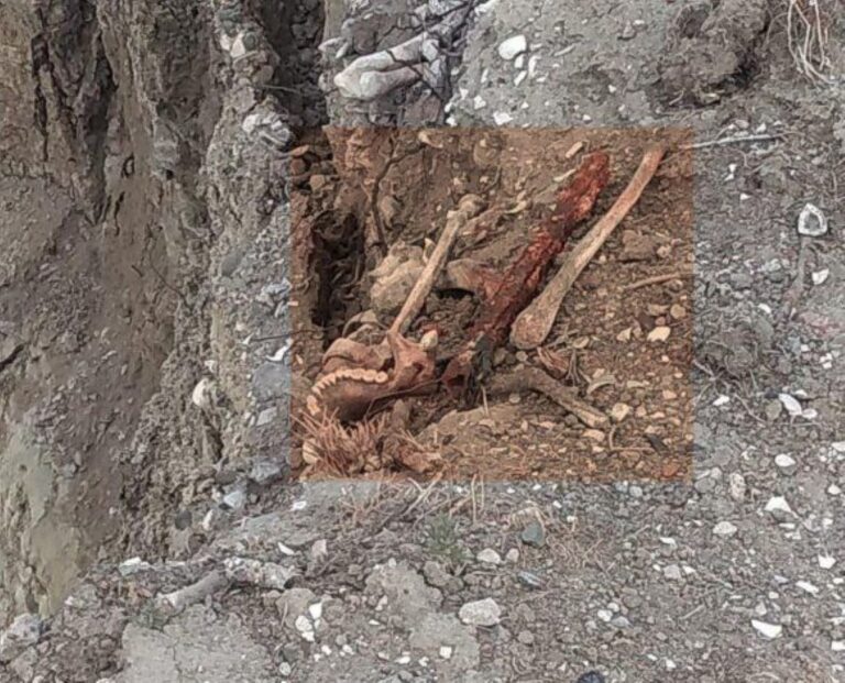 Comodoro: Hallan huesos humanos en km 5