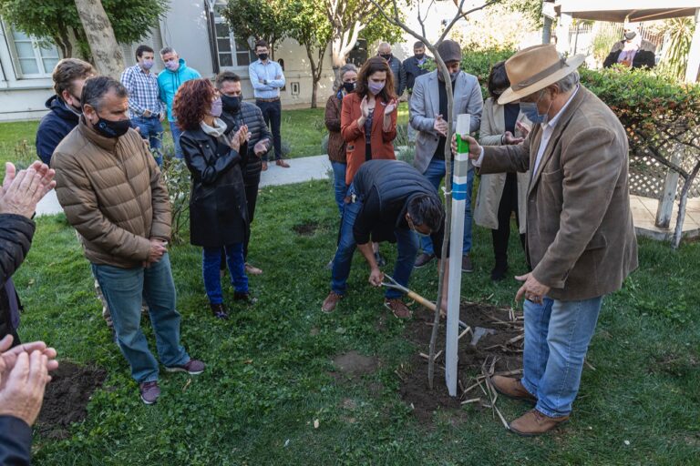 Comodoro recordó el 24 de marzo con la campaña nacional Plantamos Memoria