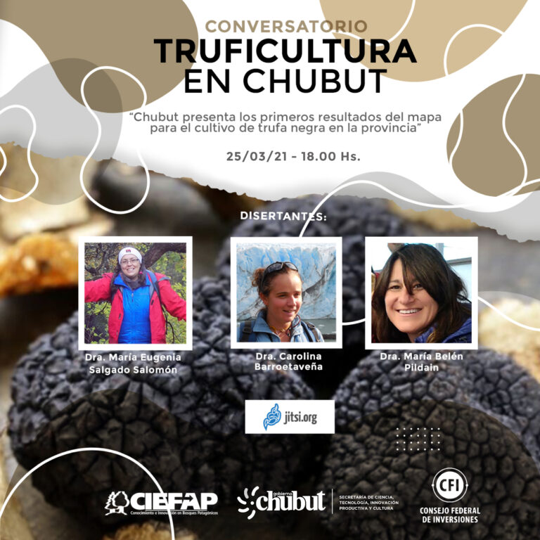 Chubut: presentarán el mapa de cultivo de trufas negras