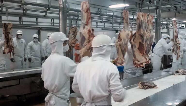 Trévelin: Detectan 20 casos de coronavirus en un Frigorífico