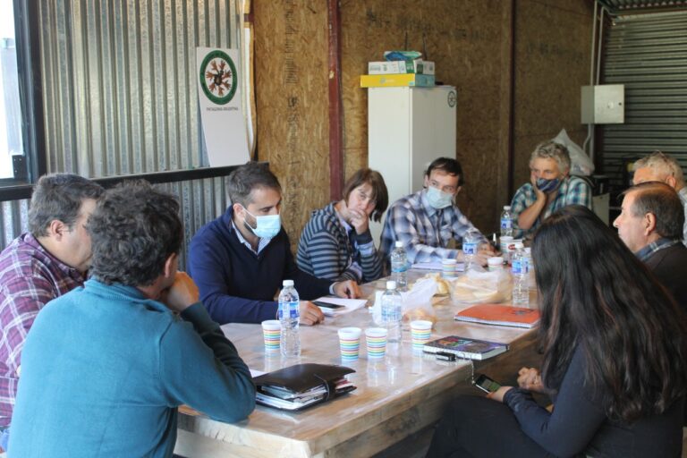 Incendios Cordillera: Presentan un informe preliminar de productores afectados