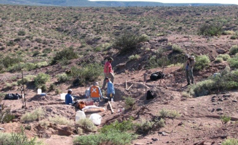 Neuquén: Descubrieron una nueva especie de dinosaurio en la Patagonia