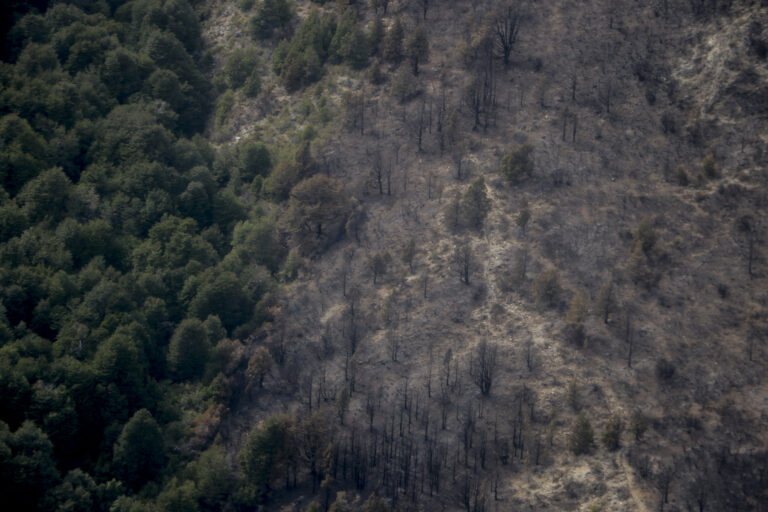 El incendio en Las Golondrinas se encuentra extinguido